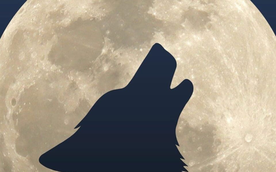 L’11 luglio 2024 arriva “Canti alla Luna (Festival d’Arti e d’Autore)”